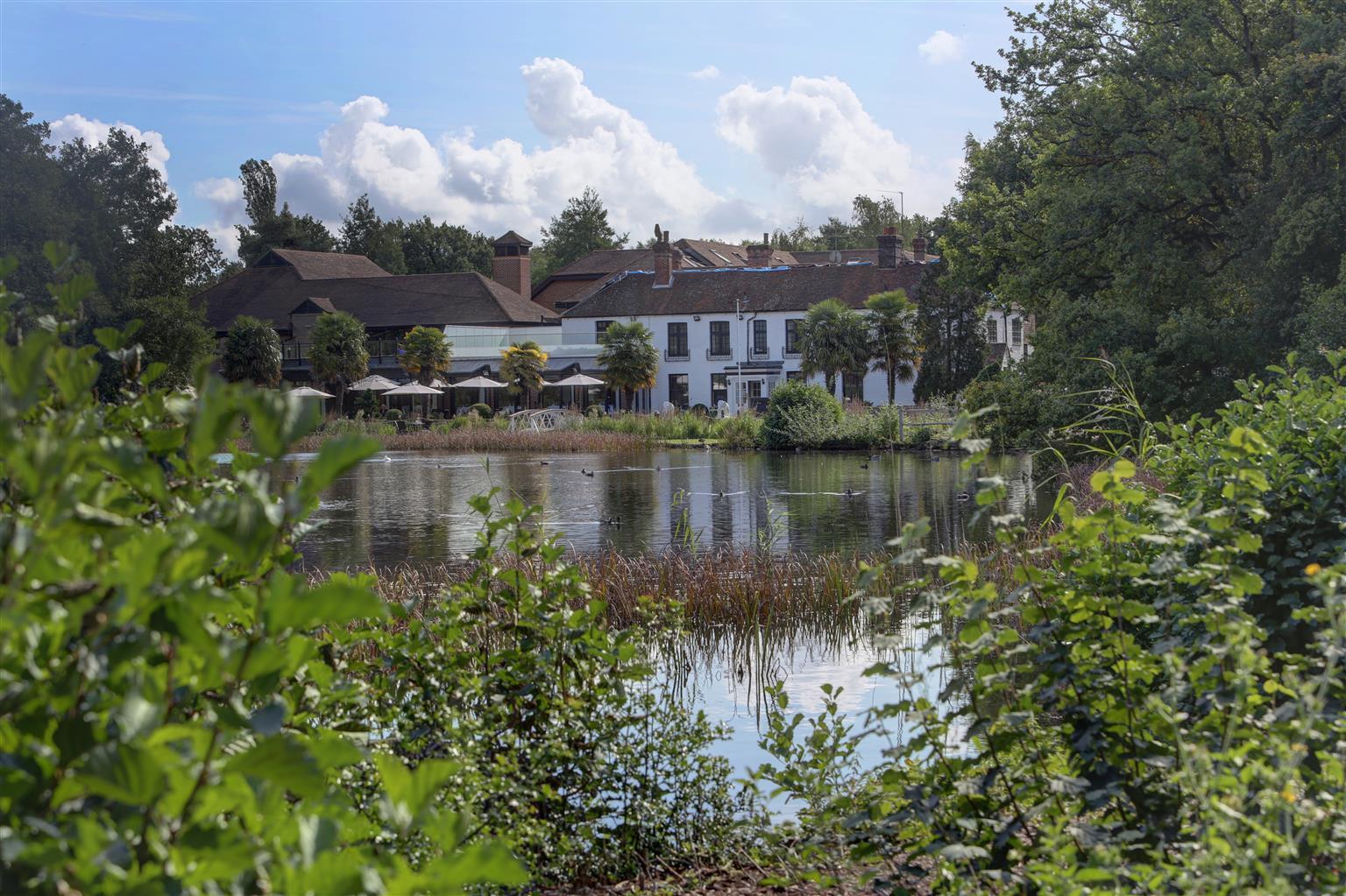 פרנהאם Frensham Pond Country House Hotel & Spa מראה חיצוני תמונה