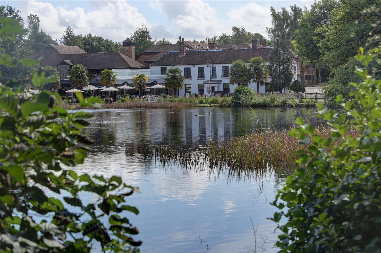 פרנהאם Frensham Pond Country House Hotel & Spa מראה חיצוני תמונה